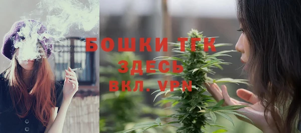шишки Богородицк
