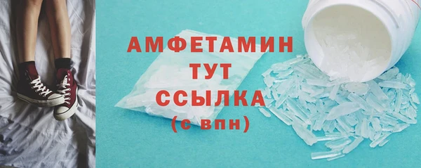 шишки Богородицк