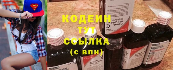 шишки Богородицк