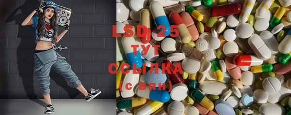 шишки Богородицк