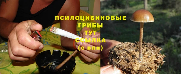 альфа пвп Богданович
