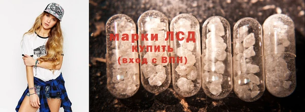 шишки Богородицк