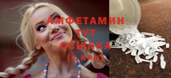 шишки Богородицк